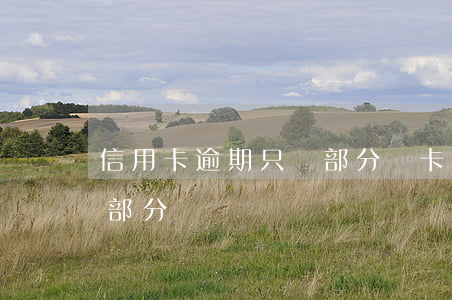 信用卡逾期只還部分銷卡(信用卡逾期還了一部分)