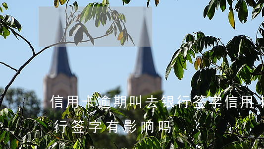 信用卡逾期叫去银行签字(信用卡逾期叫去银行签字有影响吗)
