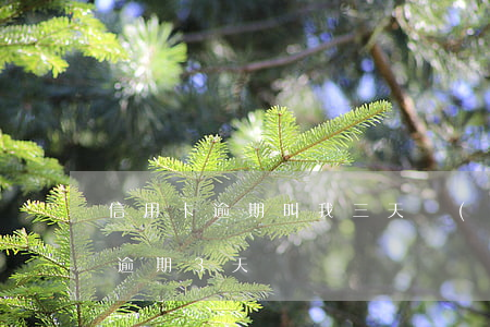 信用卡逾期叫我三天內(nèi)還 信用卡逾期3天