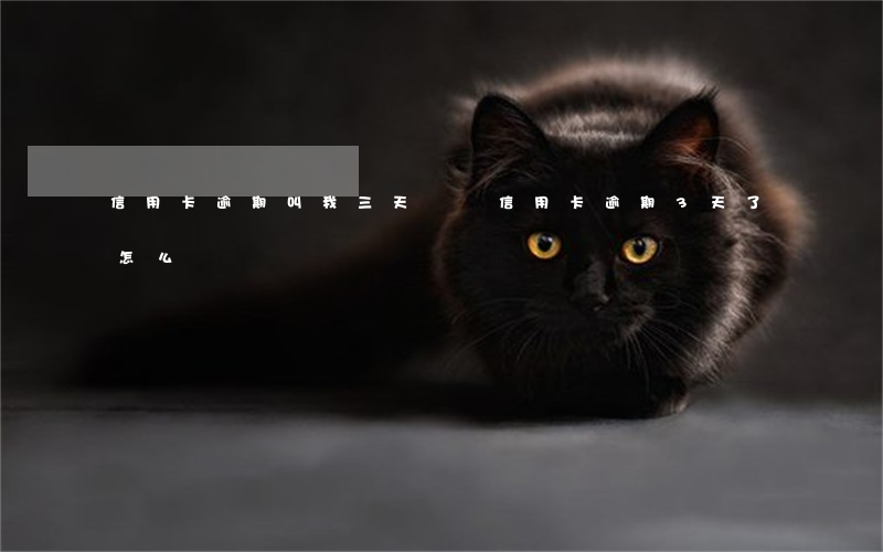 信用卡逾期叫我三天內還(信用卡逾期3天了怎么辦)