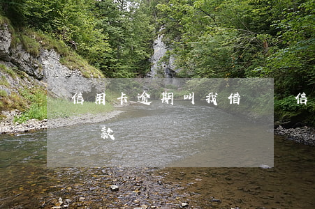 信用卡逾期叫我借錢還(信用卡逾期叫我借錢還款)