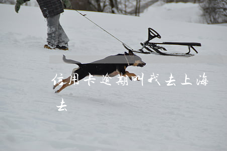 信用卡逾期叫我去上海開庭(欠信用卡開庭沒去)