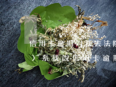 信用卡逾期叫我去法院(有律師聯(lián)系我說信用卡逾期起訴了)