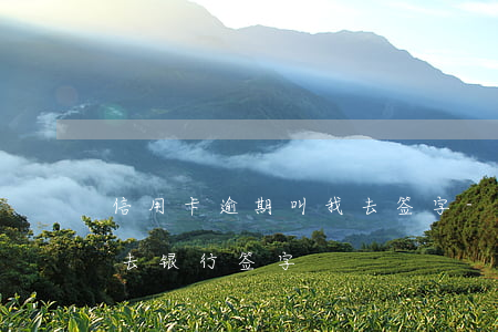 信用卡逾期叫我去签字-欠信用卡人员叫我去银行签字