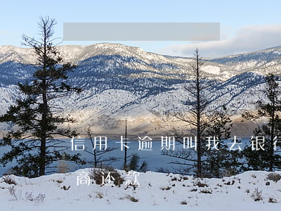信用卡逾期叫我去银行协商-怎么找银行协商还款