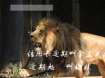 信用卡逾期叫拿立案回執(zhí)(信用卡逾期起訴叫你核對資料)