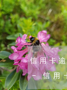 信用卡逾期叫明天去簽報(bào)案材料-信用卡 逾期 報(bào)案