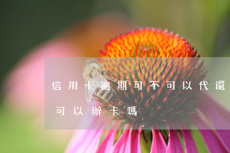 信用卡逾期可不可以代還(信用卡逾期還了還可以辦卡嗎)