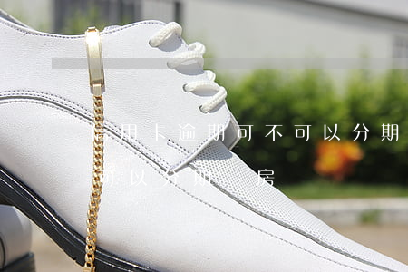 信用卡逾期可不可以分期還(信用卡逾期可不可以分期還房貸)