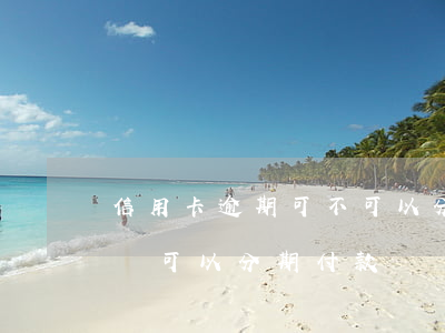 信用卡逾期可不可以分期還款-分期逾期后還可以分期付款嗎