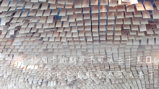 信用卡逾期可不可以去干美團(tuán)-信用卡逾期可不可以去干美團(tuán)