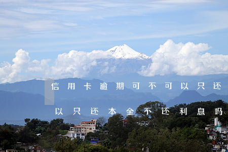 信用卡逾期可不可以只还本金(信用卡逾期可以只还本金不还利息吗)
