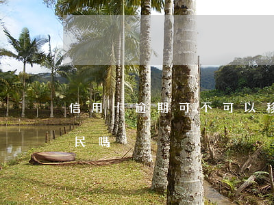 信用卡逾期可不可以移民(信用卡逾期可以移民嗎)