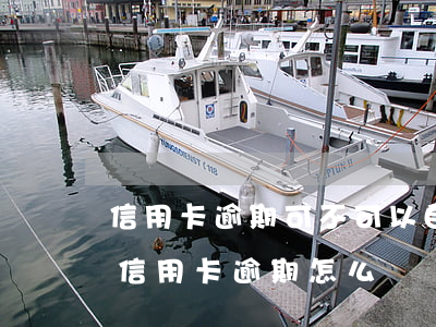 信用卡逾期可不可以自己報(bào)案(有信用卡逾期怎么辦)