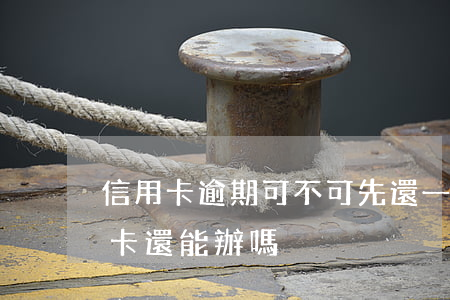 信用卡逾期可不可先還一點(逾期了一張信用卡還能辦嗎)