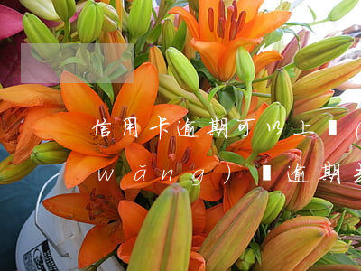 信用卡逾期可以上網(wǎng)吧么(網(wǎng)貸逾期去網(wǎng)吧影響嗎)