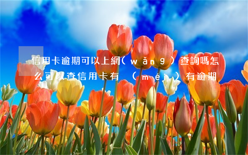 信用卡逾期可以上網(wǎng)查詢嗎(怎么可以查信用卡有沒(méi)有逾期)