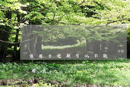 信用卡逾期可以不款還嗎(有逾期不能申請信用卡嗎)