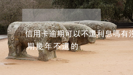 信用卡逾期可以不還利息嗎 有沒有信用卡逾期幾年不還的