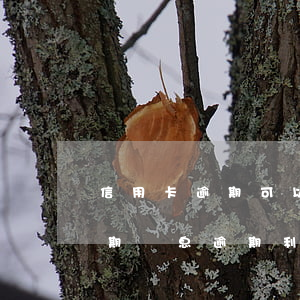 信用卡逾期可以不還利息怎么算-信用卡 逾期罰息 逾期利息