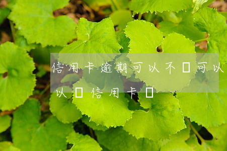 信用卡逾期可以不還可以嗎(信用逾期的還可以辦信用卡嗎?)