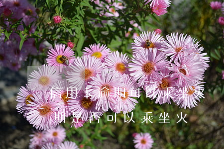 信用卡逾期可以乘坐火車嗎(如果征信上有逾期是否可以乘坐火車)