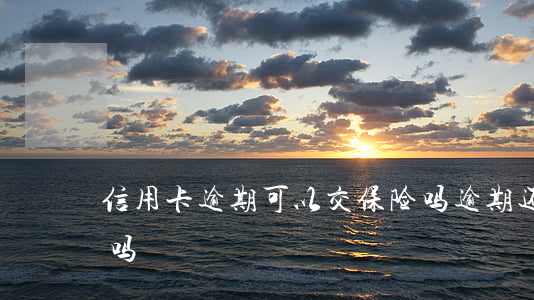 信用卡逾期可以交保险吗(逾期还能用信用卡吗)