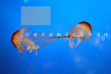 信用卡逾期可以人工消除吗(逾期了信用卡怎么办)