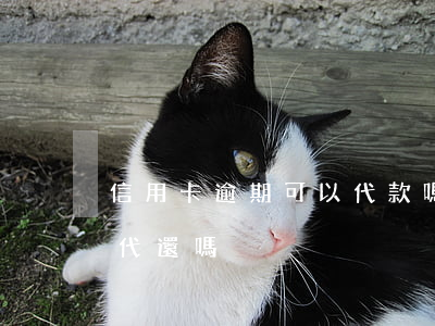 信用卡逾期可以代款嗎(信用卡逾期可以找人代還嗎)