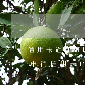 信用卡逾期可以住房贷款吗(贷款有逾期可以申请信用卡吗)