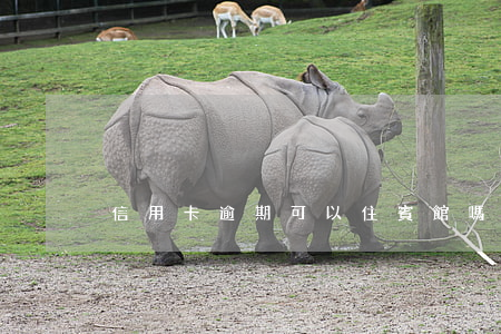 信用卡逾期可以住賓館嗎