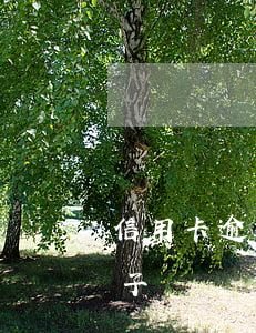 信用卡逾期可以供房-信用卡逾期可以供房子嗎