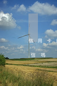 信用卡逾期可以供手機嗎(手機卡逾期會上征信嗎)