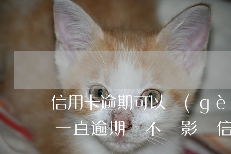 信用卡逾期可以個(gè)性分期嗎(來分期一直逾期會不會影響信用卡)