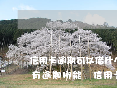信用卡逾期可以借什么平臺(有負(fù)債有逾期哪能辦信用卡或者借錢)