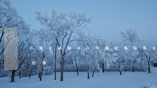 信用卡逾期可以借貸款嗎(信用卡逾期還能貸款嗎)