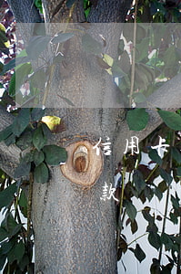 信用卡逾期可以借高炮嗎(高炮逾期了還能借款嗎)
