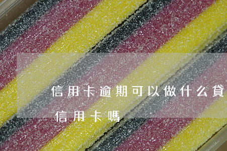 信用卡逾期可以做什么貸款(貸款逾期過能辦信用卡嗎)