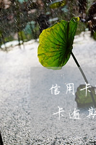 信用卡逾期可以做企業(yè)法人嗎(信用卡逾期可以做企業(yè)法人嗎)
