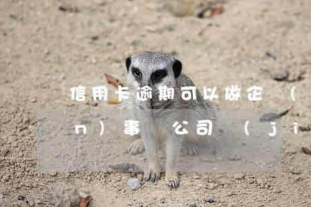 信用卡逾期可以做企業(yè)監(jiān)事嗎(公司監(jiān)事查信用卡嗎)