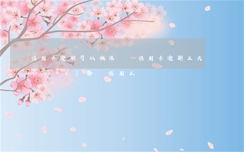 信用卡逾期可以做保證嗎(信用卡逾期三天內(nèi)影響信用么)