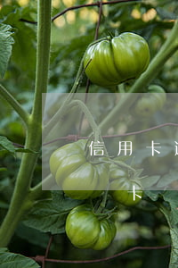 信用卡逾期可以做修復嗎(信用卡逾期可以補辦卡嗎)