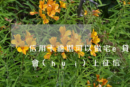 信用卡逾期可以做宅e貸嗎 宅e貸逾期幾天會(huì)上征信