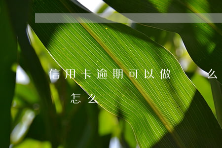 信用卡逾期可以做會計么(銀行信用卡逾期了會怎么樣)