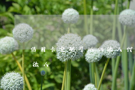 信用卡逾期可以做法人代表 征信逾期可以做法人嗎