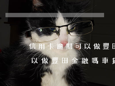信用卡逾期可以做豐田金融嗎(信用卡逾期可以做豐田金融嗎車貸)