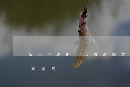 信用卡逾期可以做高鐵(欠信用卡逾期可以坐高鐵嗎)