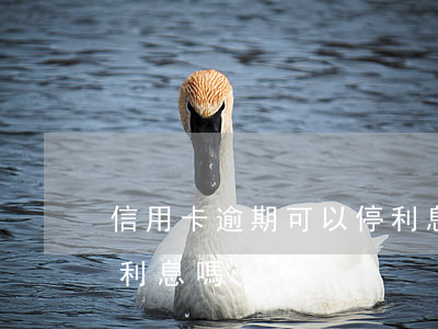 信用卡逾期可以停利息嗎(信用卡逾期可以停利息嗎)