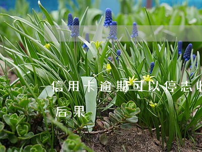 信用卡逾期可以停志收違約金嗎(信用卡 逾期 后果)
