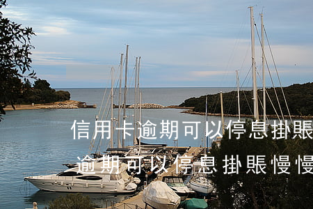 信用卡逾期可以停息掛賬慢慢還嗎-信用卡逾期可以停息掛賬慢慢還嗎